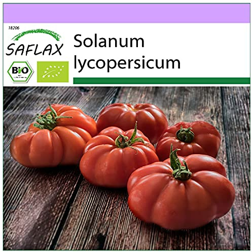 SAFLAX - Ekologiskt - Tomat - Rouge De Marmande - 10 Frön - Solanum lycopersicum