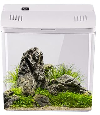 Sghtil Pequeño Acuario con Filtro - Acuario Nano con Filtración Integrada - Suministros para Mascotas para Oficina Camarones Tortugas Acuáticas Medusas - Hábitat para Tortugas Ranas