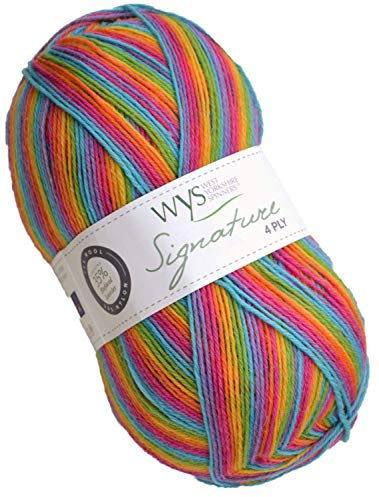 West Yorkshire Spinners Signature 4ply - Rum Paradise - 822 wys sig 4ply