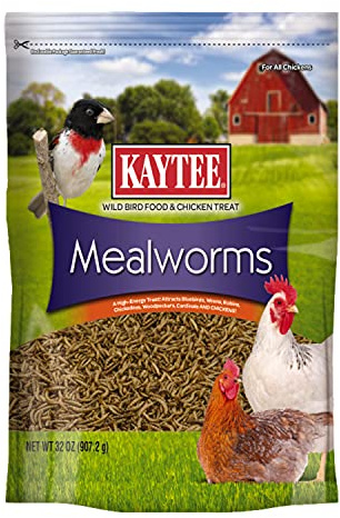 Kaytee Wild Bird Food Mealworms For Bluebirds, Wrens, Robins, Chickadees, Woodpeckers, Cardinals & Chickens, 2 Pound