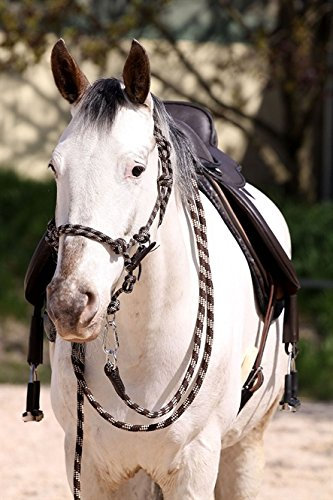 Barefoot Knotenhalfter 3-in-1 Juniper (COB)