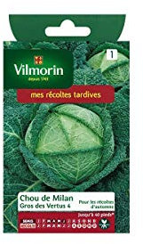 Vilmorin - Sachet graines Chou de milan gros des vertus 4