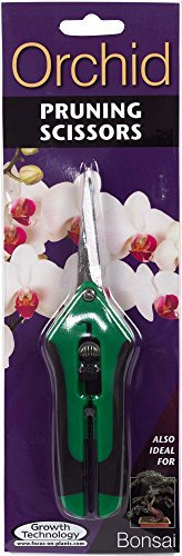 Orchid Soft-Grip Precision Straight Pruning Scissors Also Ideal for Bonsai Plants