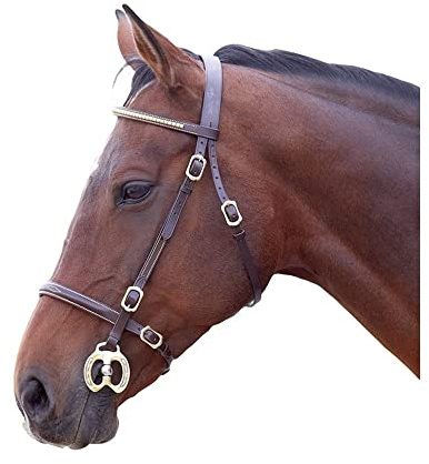 Shires Velociti GARA Clincher Inhand Bridle Cob Havana