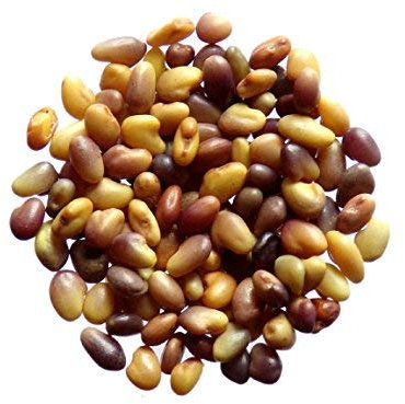 Trèfle Violet (Trèfle Des Prés) - 3 grammes - Trifolium Pratense - Red Clover - (Engrais vert) - SEM05