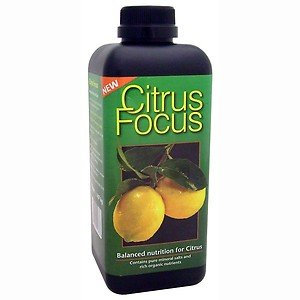 Advanced Nutrition Citrus Focus - Growth Technology - 1L - Quick -