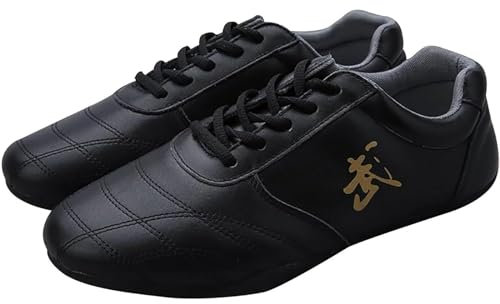 Tai Chi Shoes for Men Non Slip Martial Arts Shoes Women Leather Tai Chi Kung Fu Training Shoes,Taekwondo Shoes, Kong fu Walking Shoes(Size:42EU,Color:Black)