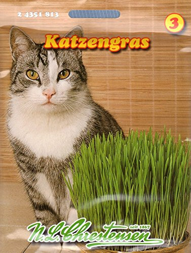 Katzengras Saatmischung