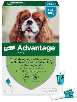 Elanco Advantage Spot-On 100 für kleine Hunde von 4 bis 10 kg Körpergewicht, schnelle Bekämpfung von Flöhen und Schutz vor Flohbefall für bis zu 4 Wochen, 4 Pipetten mit 1,0 ml Lösung