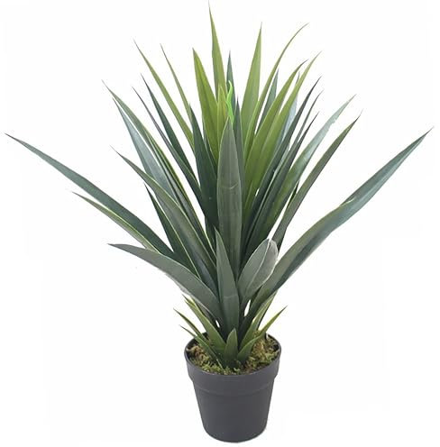 Leaf LEAF-7170 60cm Artificial Agave Succulent Yukka Style Green Plant