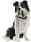 lesser and pavey LP08278 Figure | Sitting Border Collie Walkies | 1 Piece-15x9x17 cm Dog Accessory, Solid, Multicolord, h17cm