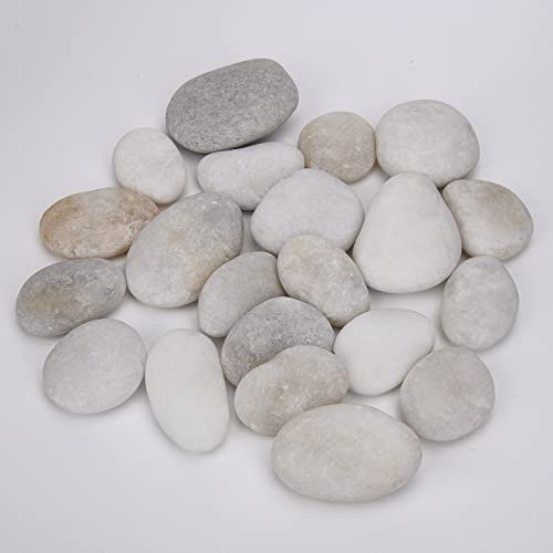 Hisredsun 21 Flache Steine zum Bemalen, 3-5 cm Glatte Große Kieselsteine, Dekosteine Naturstein,Natürlicher Flussstein für Mandala Bemalen,Zen Garten,Blumentöpfen und Aquarien