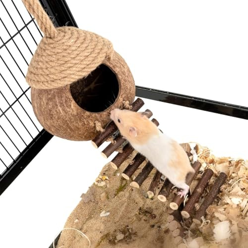 ZYYRSS Nid d'oiseau en noix de coco avec échelle, cachettes naturelles pour reptiles, oiseaux, petits animaux