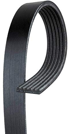 Gates K061031 Ribbed V-Belt