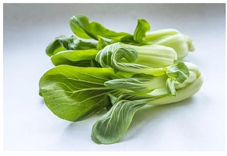 Pack of 30 Xotica Paksoi Canton Leaf Vegetable Seeds Pak Choi Vegetable Cabbage KS135 Seeds Plants Shop Seed Bench Pullingen Patrik Ipsa