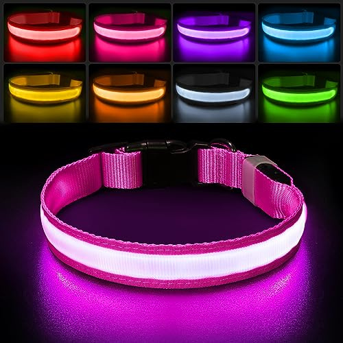 PcEoTllar Collar Luz para Perro Recargable, Collar LED Impermeable con 7 Colores Ajustable para Perros Pequeños, Medianos y Grandes