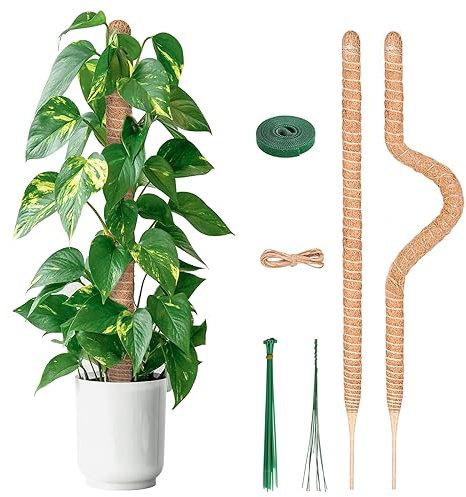 YAUNGEL Pflanzenstütze, 2 Stück 80CM Pflanzstab Rankhilfen für Kletterpflanzen Natürlicher Kokosstab mit 20M Langen Drehbändern zur Unterstützung von Zimmerpflanzen