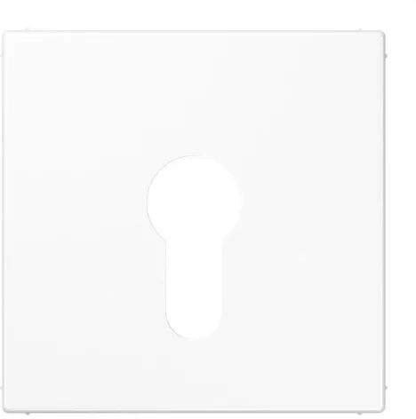 Jung LS925WW Abdeckung für Schlüsselschalter