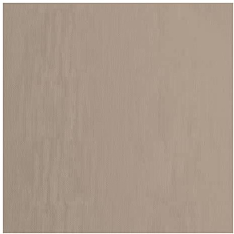 Vaessen Creative Florence Cardstock papper, grå, 216 gram/m², kvadrat, 30,5 x 30,5 cm, 20 stycken, textur, för scrapbooking, korttillverkning, stansning och andra pappershantverk