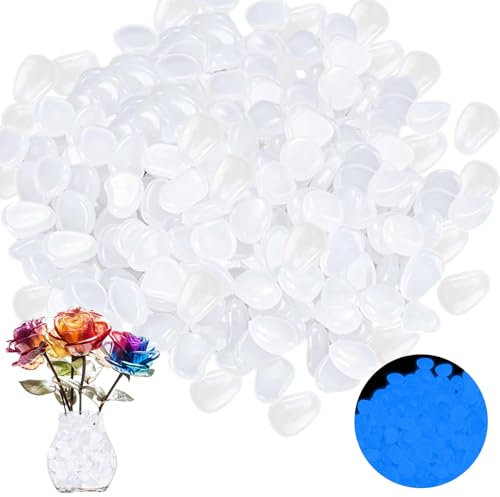 Lot de 100 pierres lumineuses pour jardin - 2 cm - Pierres lumineuses fluorescentes blanches - Brillent dans l'obscurité - Convient pour les jardins, les terrasses