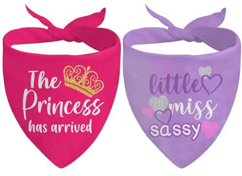 2Pcs Dog Bandanas for Puppy Small Large, Princess Sassy Pet Scarf Gifts for Dog Lovers, Clothing & Accessories for Dogs, Gift for Dogs Birthday