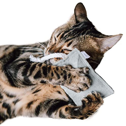 CanadianCat Company | nachhaltiges Katzenspielzeug Schmusekissen mit Seil mit 5g Katzenminze | Faire Handarbeit für Deine Katze | Knuddelkissen für Katzen mit Premium Füllung