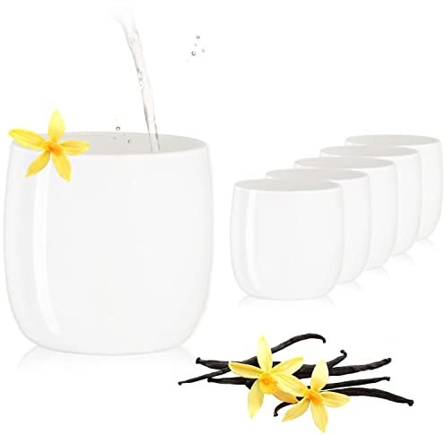 PLATINUX Lot de 6 verres blancs élégants en verre de 260 ml (maximum 320 ml) - Verres à eau, à jus et à whisky