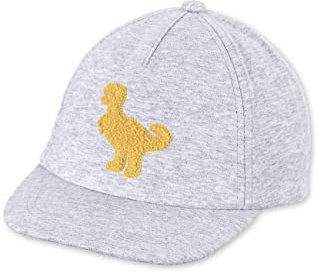 Sterntaler Baby Jungen Baby Cap Basecall Cap Dino - Baby Baseball Cap, Kinder Basecap, Kindermütze - aus Baumwolle - mehrfarbig, 49