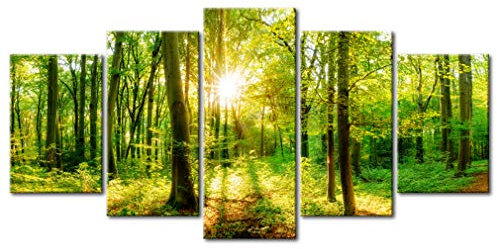 decomonkey - Tableau Acoustique Foret 225x112.5 5 Pièces - Impression sur Toile Décoration Maison Isolation Peinture Phonique Déco Bureau Lueur arbres paysage forêt nature plantes soleil vert