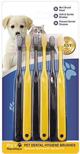Pet Republique Small Toothbrush for Dogs Cats - Cat Toothbrush, Small Dog Toothbrush - Designed for Cat, Kitten, Puppy, and Sm Dog Like Chihuahuas, Yorkshire, and Poodle (3 Count)