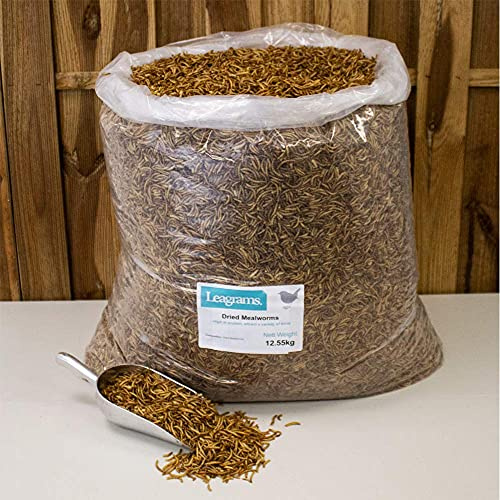 Leagrams Dried Mealworms - High Energy Protein Rich Premium Wild Bird Food (12.55kg)