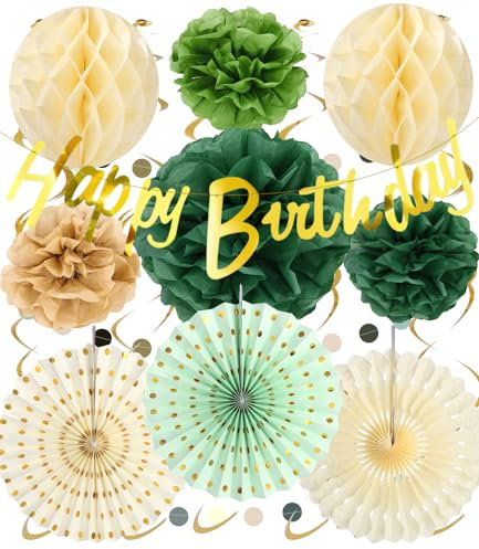 Cexovo Geburtstagsdeko Premium Wiederverwendbare Party Deko,Geburtstag Deko Geburtstagsdeko Frauen Happy Birthday Girlande Wimpelkette Geburtstag Wabenbälle Pompons Deko Sage Grün Deko