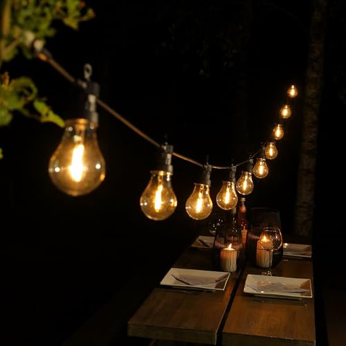NOMA Festoon Lights, 10 Edison Style Bulbs, 4.4 m, Battery Operated, Warm White