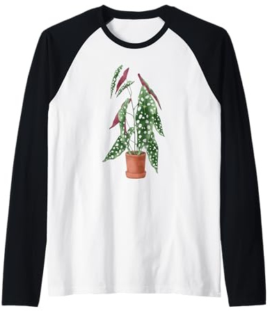 Cute Polka Dot Begonia Maculata Gift Angel Wings Gifts Raglan Baseball Tee
