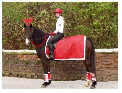 ShowQuest Showquest Christmas Leg Wraps with Bells - Horse Dress Up