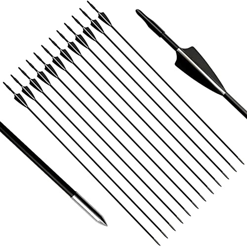 e5e10 31 inch Fiberglass Arrows Practice for Youth Beginner, Target Archery Arrows with Durable Blunt Tiped Arrow for Recurve Bow Long Bow - 12 Pack(Black and White)