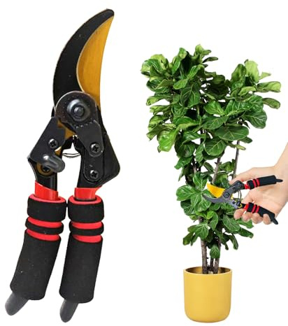 Tijeras De Podar Para Jardinería | Herramientas de Jardinería Manuales - Herramientas de Corte Manual para Plantas y Césped - para Césped, Jardín, Exterior, Árbol, Planta, Seto, Hierba, Verduras, Bons