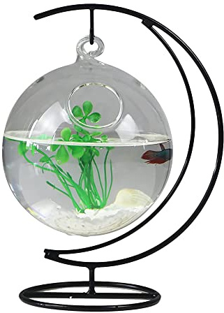 N.F Aquarium Suspendu en Verre, Bol à Poisson Transparent en Forme d'Arc, Support Inclus, Pour Poisson, Intérieur, Modern
