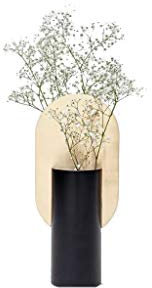 GSZCCZS Vasi Nordic Vase Cassati I Fiori secchi Disposizione di Fiori eterni Nuovo Fiore d'oro Cinese in Vento Semplice Ornamento Moderno Vaso Interno