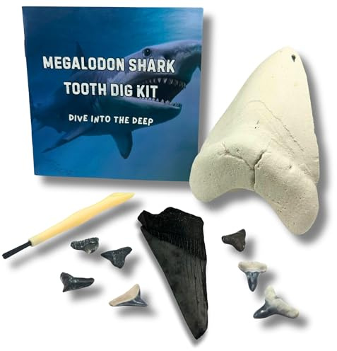 Sunken Hunter Megalodon Shark Tooth Dig Kit - Authentic Fossils Found in The USA(Megalodon Fragment Guaranteed + Lemon & Bull Shark Teeth) - Uncover Real Fossils - Perfect STEM Gift for Kids