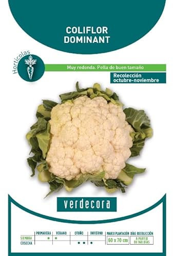 SEMILLAS COLIFLOR DOMINANT BLANQUITA VERDECORA