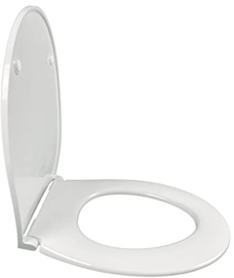Jacob Delafon Seat - PAtio E23157 - Extraplan Thermodur progressiv och avtagbar sänkning. Metallgångjärn