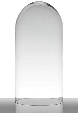 INNA-Glas Campana di vetro ADELINA, trasparente, 40 cm, Ø 19 cm