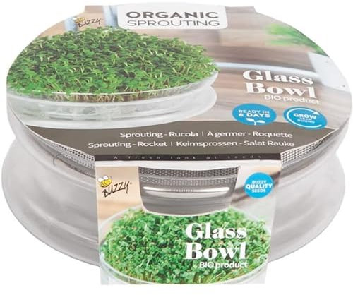 BIO Sprossen Glasschale mit Edelstahlgitter - Frei von Aluminium - Sprossenglasschale im Set mit Edelstahlgitter inkl. 6 g Sprossen 'Salat Rauke' - Keimschalen für Sprossen - Sprouting