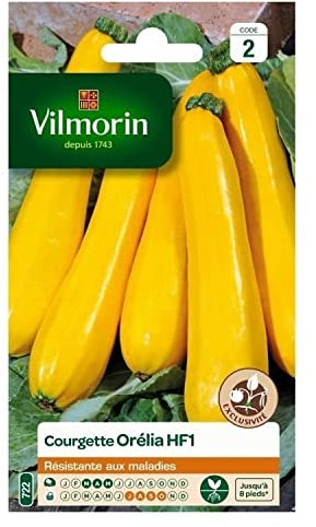 Vilmorin - Courgette Orelia HF1