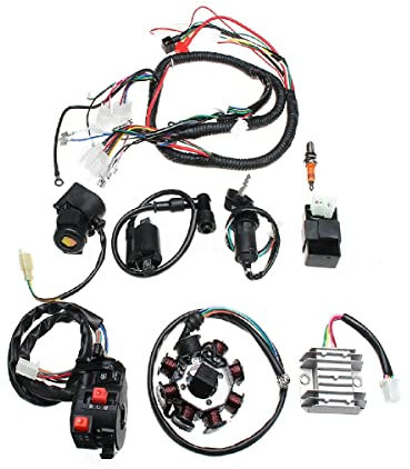 Kit complet de Stator CDI de faisceau de câblage électrique Baceyong pour ATV QUAD 150/200/250CC