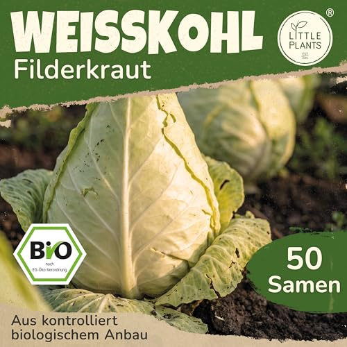Little Plants BIO Weißkohl Samen 50 Weißkohlsamen Filderkraut Weißkraut Gemüsesamen Gemüsesaatgut Samenfest für Gemüsegarten, Hochbeet, Küche, Balkon und Garten