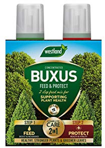 Westland Buxus Feed & Protect Concentrates 2 in 1 (2 x 500 ml), Green
