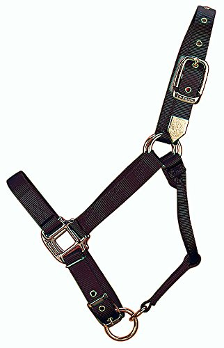 Hamilton 1-Inch Nylon Adjustable Horse Halter, Yearling, 300 to 500-Pound, Black
