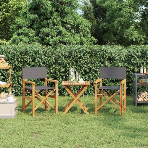 Genérico Sillas de Director Plegables 2 Unidades Madera Maciza Teca Gris,Mobiliario,Muebles de jardín,Asientos de Exterior,Sillas de jardín,Gris,4008513